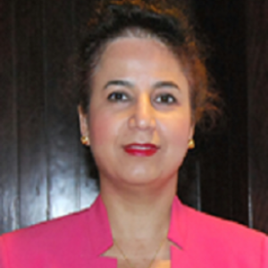 Speaker at Neuroscience Conference - Mojgan Rastegar